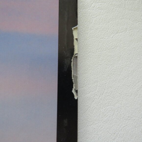 Life Magazines Collector’s Edition The Best Magazine Photos of the year Set 2 - Picture 7 of 7